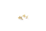Moon and Star Stud Earrings