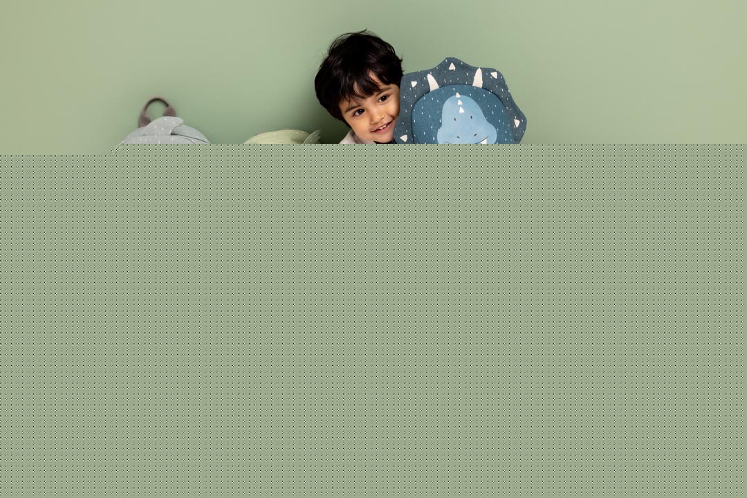 Backpack - Mr. Dragon