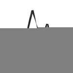 Water Resistant Reflective Backpack DOG