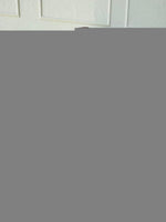 Moon Bag - Classic Leopard